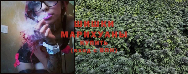PSILOCYBIN Зерноград