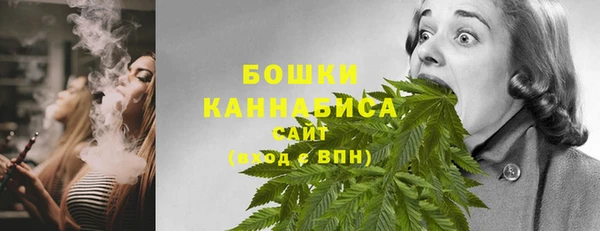 PSILOCYBIN Зерноград