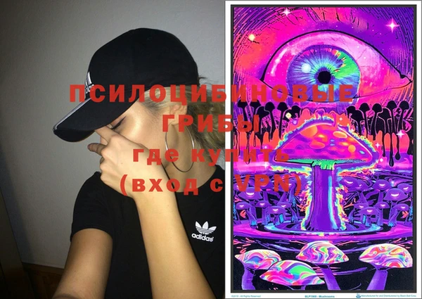 эйфоретик Зеленокумск