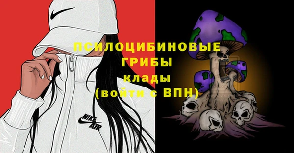 PSILOCYBIN Зерноград