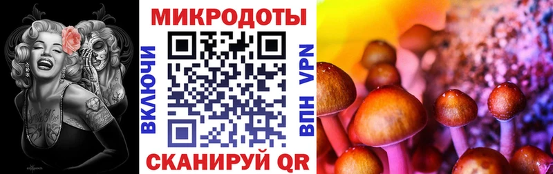 Купить  Тайга  Галлюциногенные грибы MAGIC MUSHROOMS 